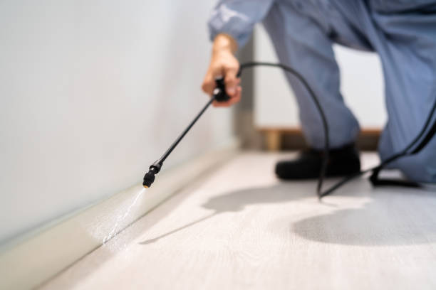 Licensed Pest Control service in La Harpe, IL - Show Me Pest Control