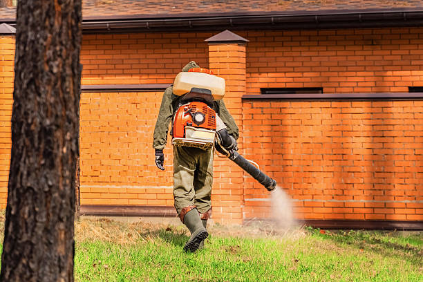 Bed Bug Clearance Verification and Documentation in La Harpe